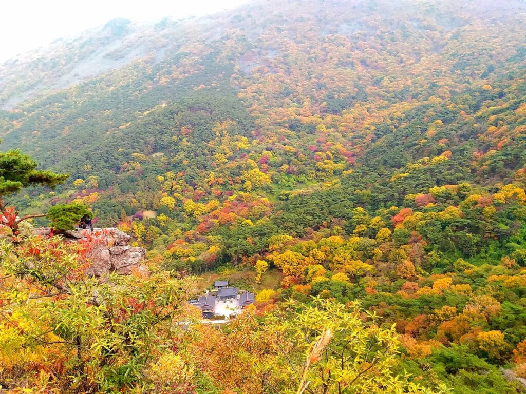 gwangju korea 1